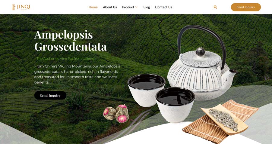 WordPress Developer Mahafujur Rahman