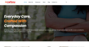 Best WordPress Developer in Rangpur