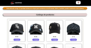 WordPress Website Development for Havrynis