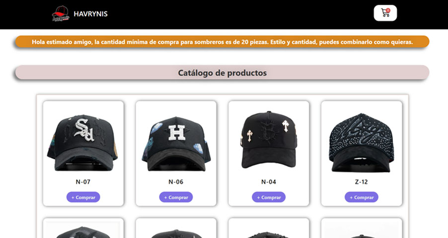 WordPress Website Development for Havrynis