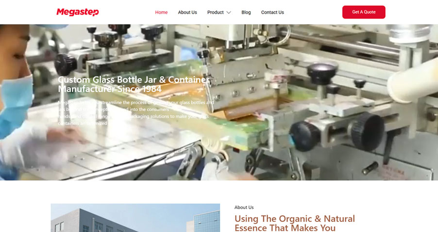 WordPress Website Development for NB MegaStep